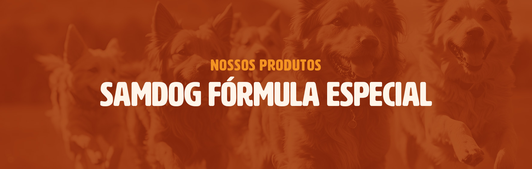 Produtos - Samdog Fórmula Especial